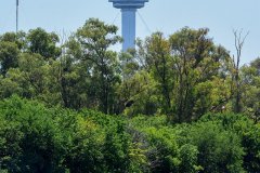DSC_6295