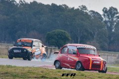 DSC4239